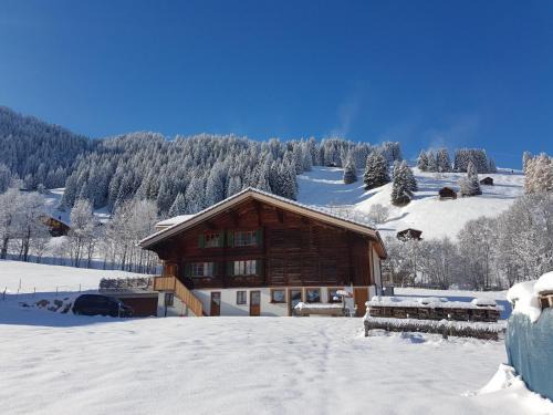 Adelboden House | BnB Fellacher