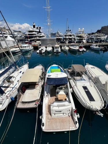 La Condamine Boat Rental | BOAT in MONACO