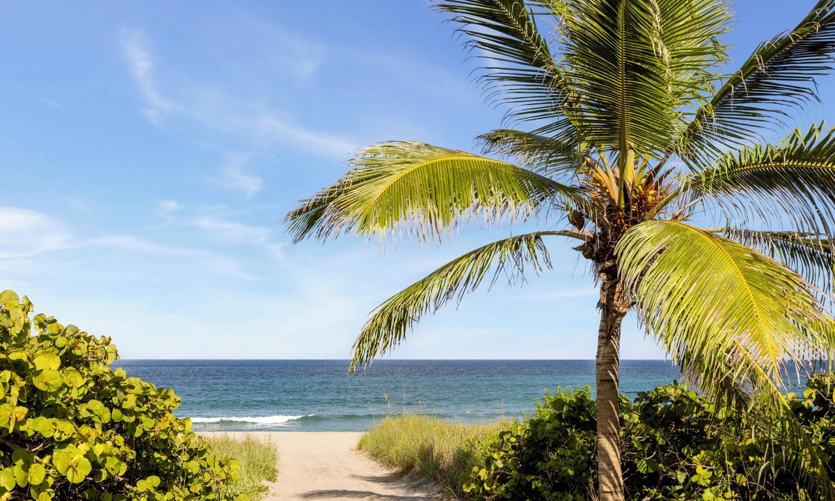 Boca Raton Hotel | Boca Raton Marriott at Boca Center