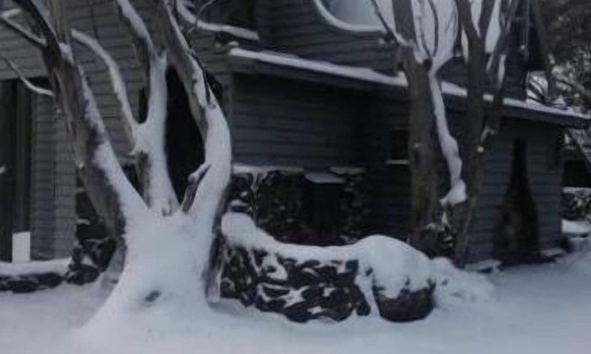 Dinner Plain Ski Chalet | Bogong Chalet/Dinner Plain