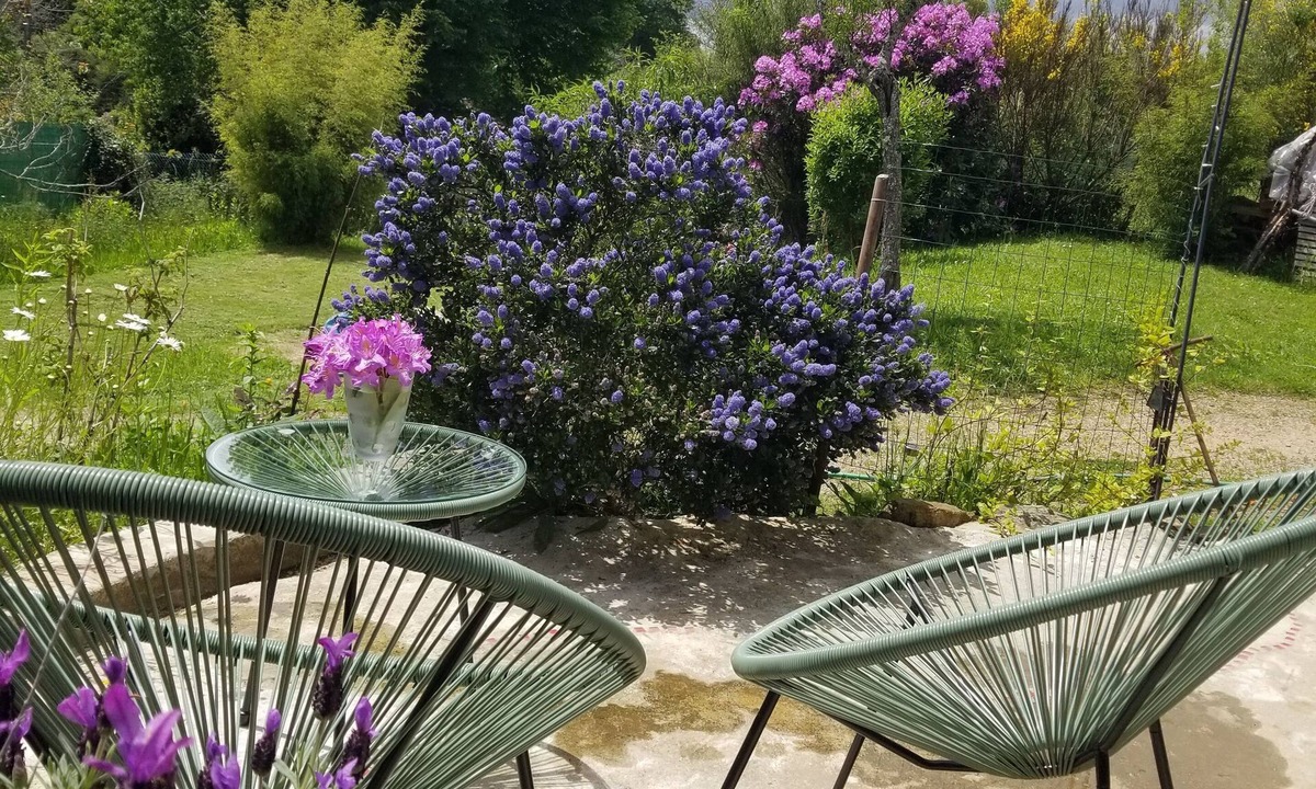 Saint-Julien-le-Petit Apartment | Bohemian.