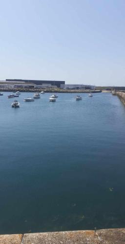 Cherbourg-en-Cotentin Apartment | Bonne pose