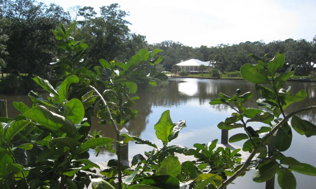 Foley Cabin | Book Now for Spring Break and Summer!