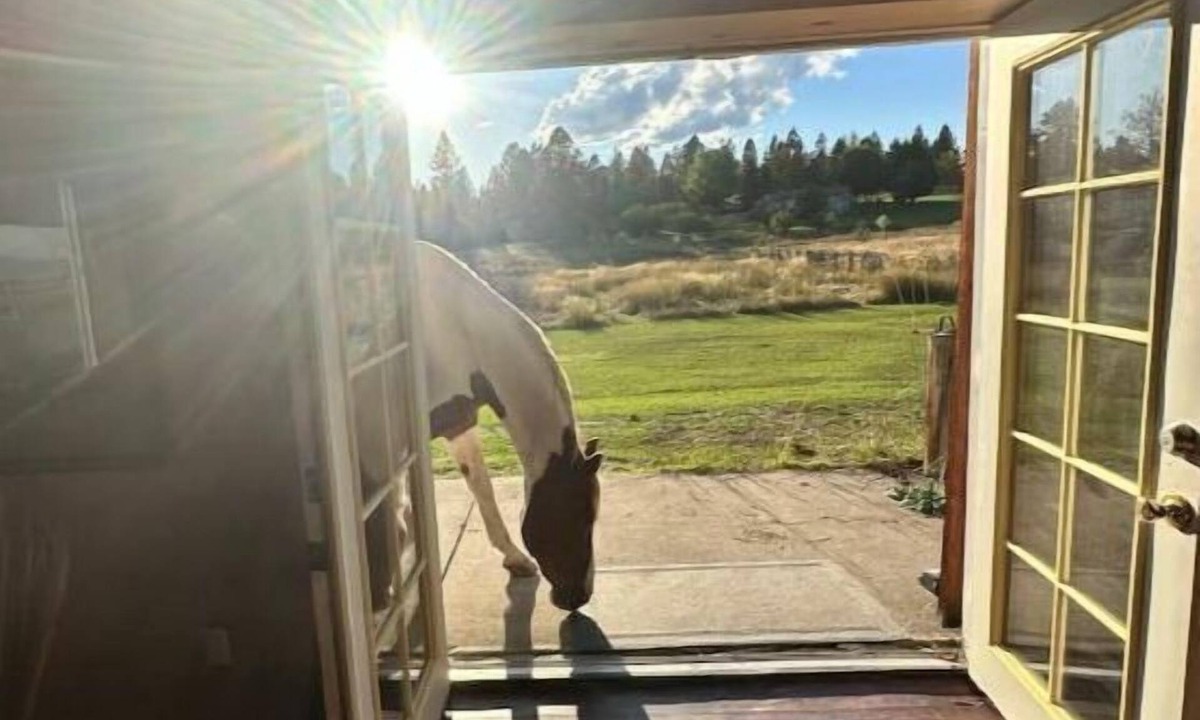 Frenchtown Cabin | Boone's Cabin