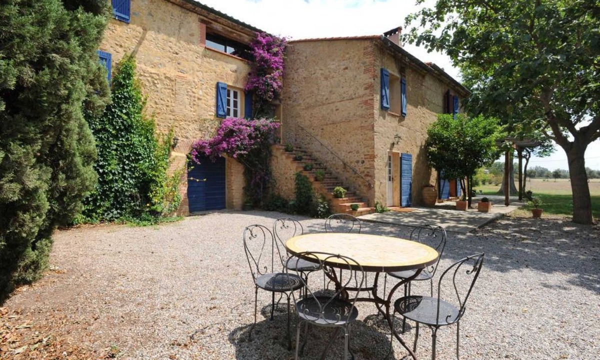 Thuir Other | Bougainvillee - THUIR