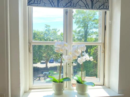 Nakskov Apartment | Boutique lejlighed Nakskov