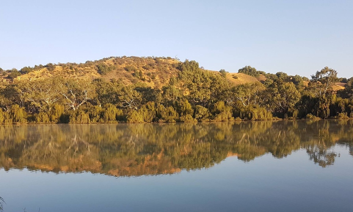 Bowhill House | Bowhill Riverfront Shack