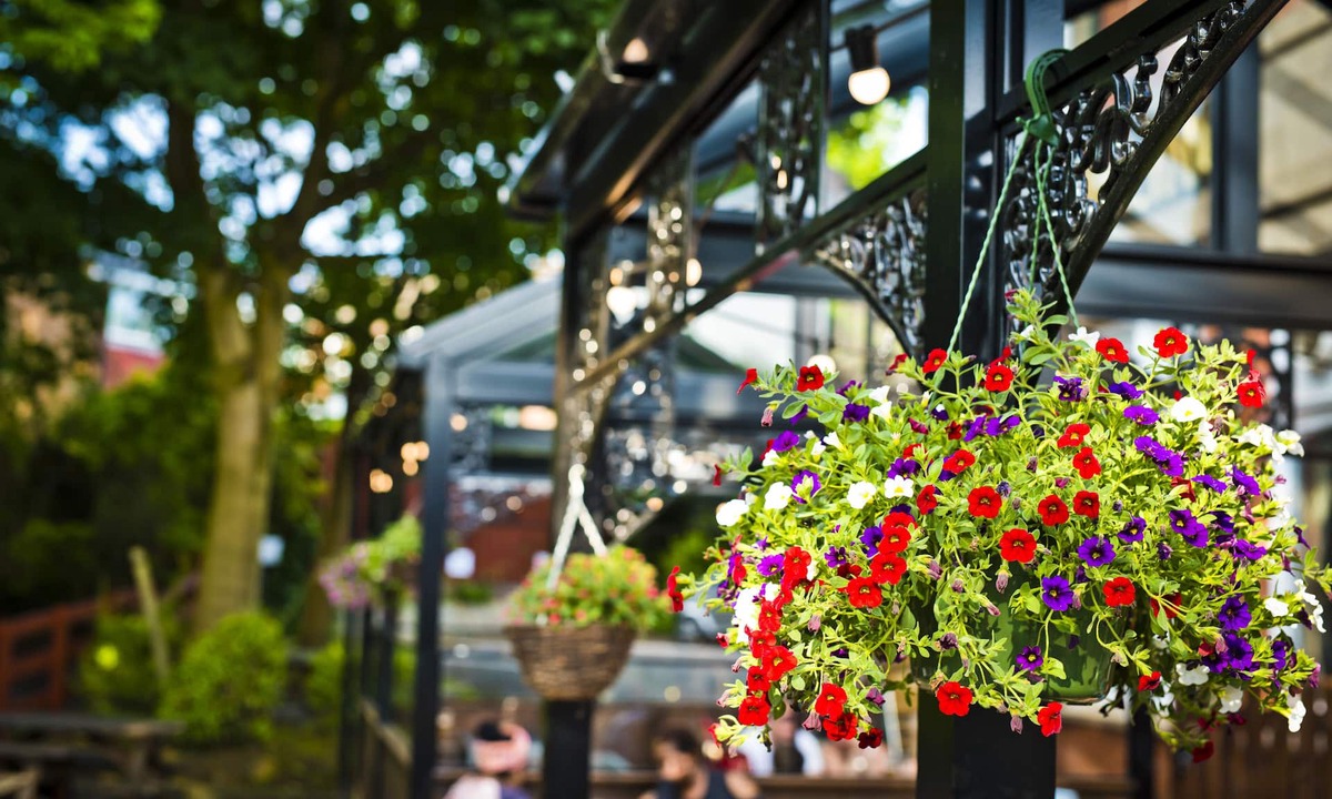 Chorlton-cum-Hardy House | Bowling Green