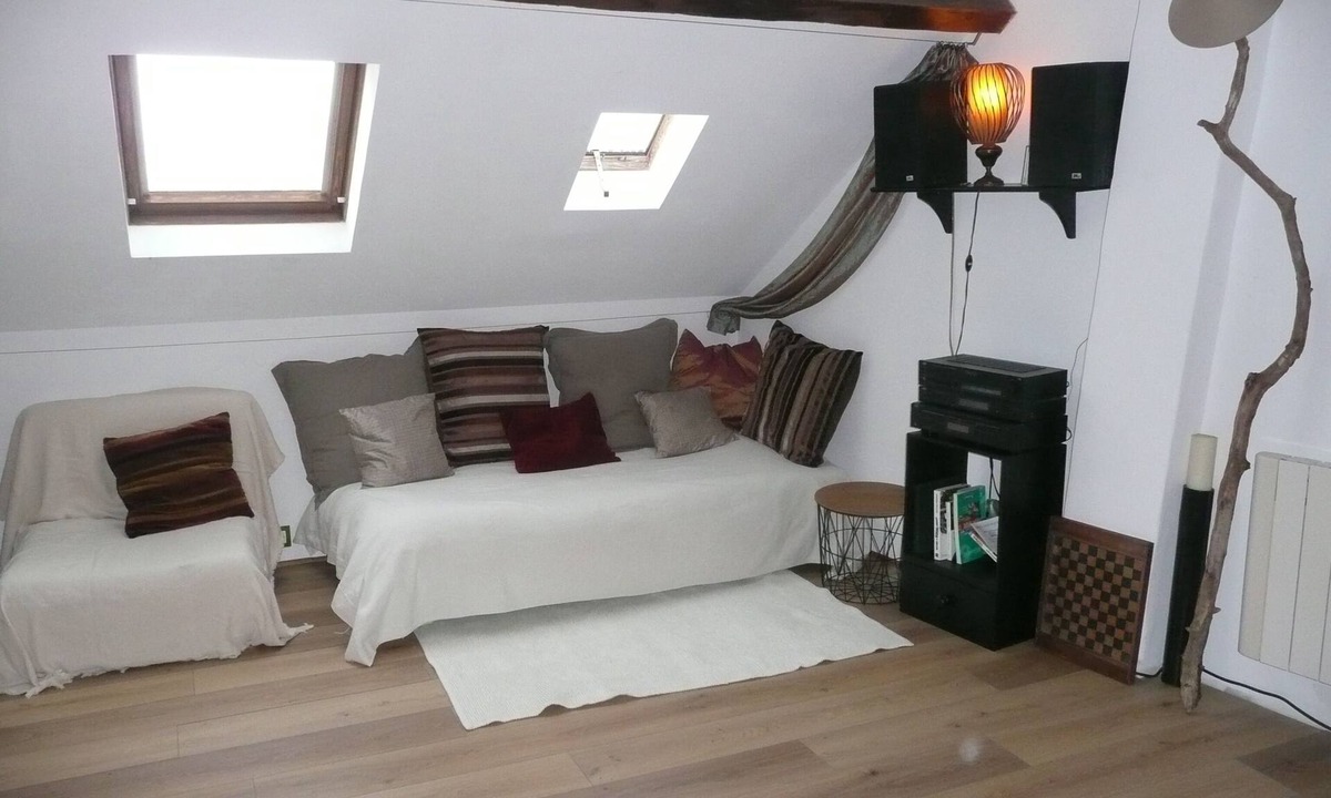 Saumur Apartment | Break in the center of Saumur superb castle view