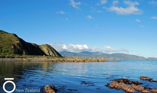 Wellington House | Breaker Bay Paradise