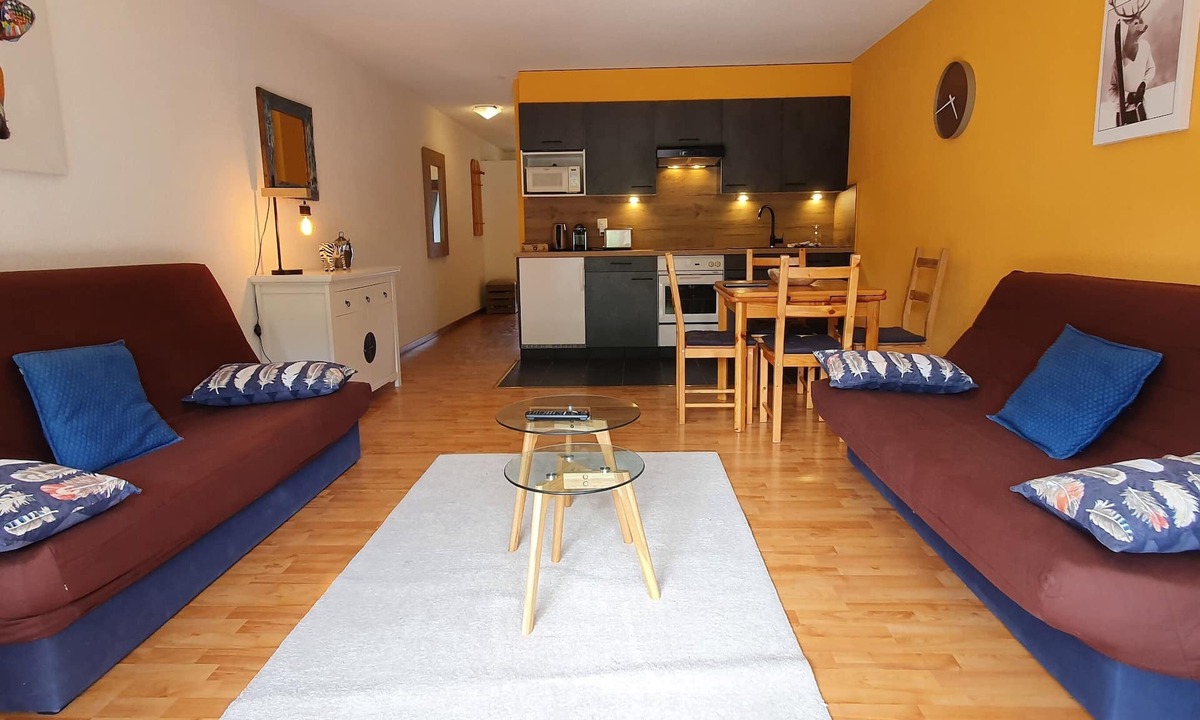 Vionnaz Apartment | Breathtaking view of the mountains