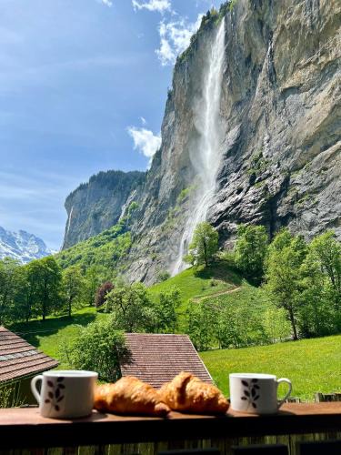 Lauterbrunnen Apartment | Breathtaking Waterfall Apartment nr 3