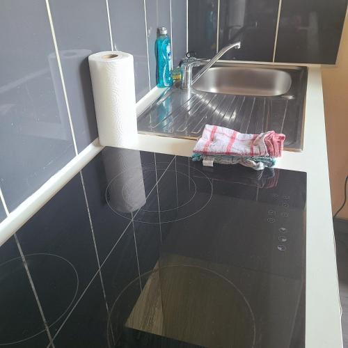 Rive Droite Apartment | BREST - pres jardin des explorateurs