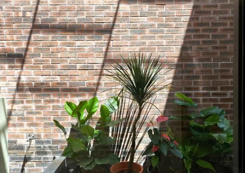 Taman Teh Teng Seng House | Brickyard at 6