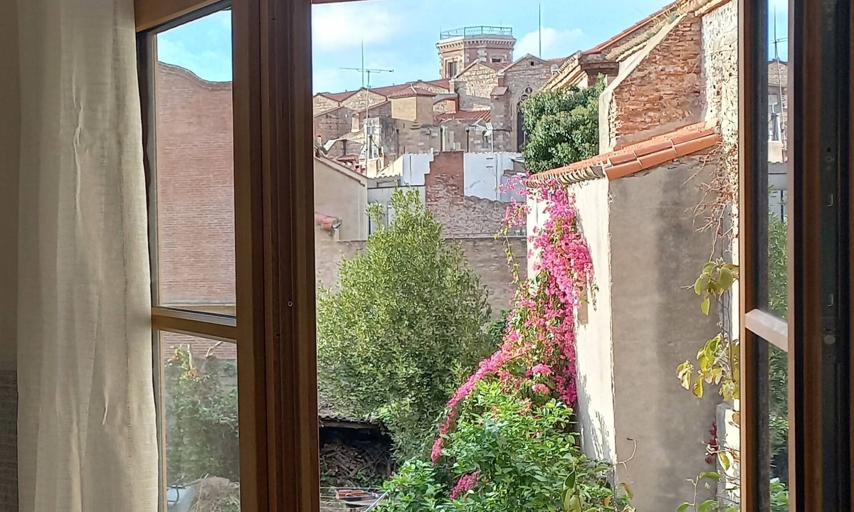Les Platanes Apartment | Bright 40m² T2 with terrace overlooking the cathedral