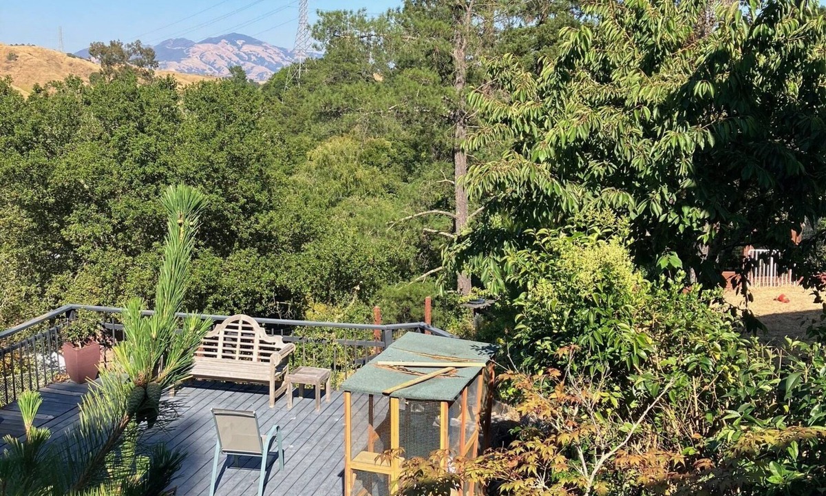 Moraga House | Bright, Airy, Home with Views, Deck