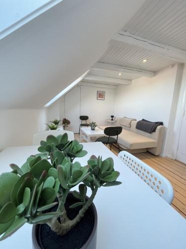 Aalborg Apartment | Bright and central city apartment near Aalborg Bus
