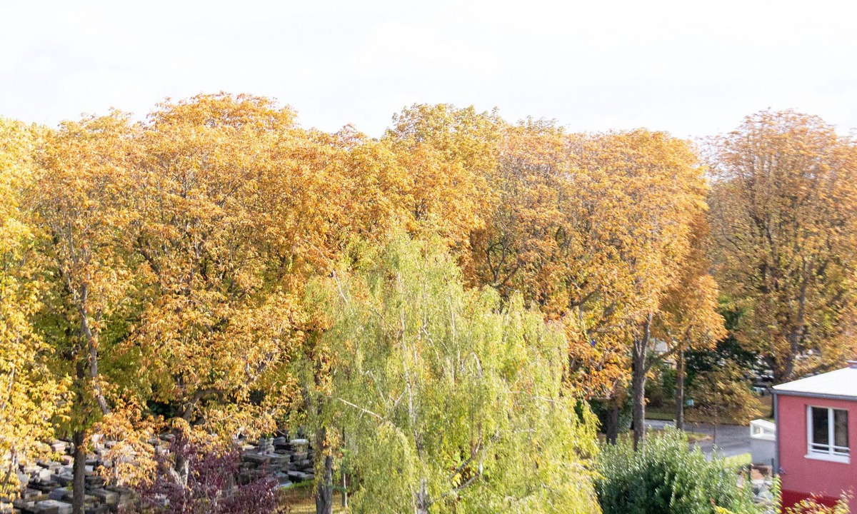 Saint-Ouen Apartment | Bright Apt Near Paris