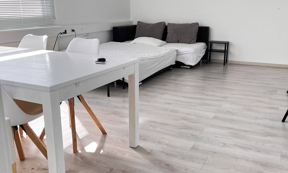 Uster District Apartment | Bright, comfy, industrial looking