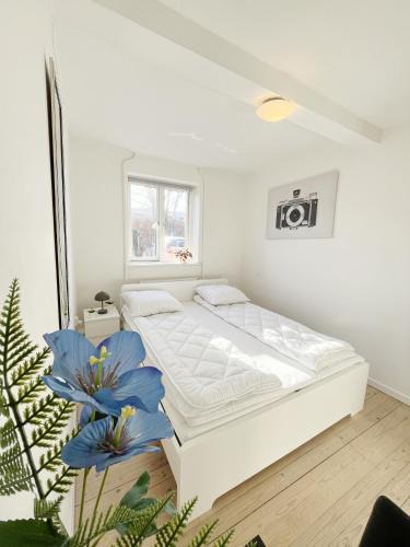 Aalborg Municipality Apartment | Bright Double Room 2 Free Parking