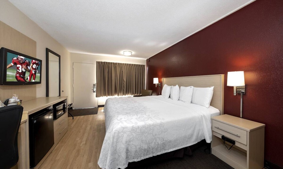 East Naples Hotel | Bright Pet-Friendly Room Near Downtown Naples – Relaxed and Welcoming
