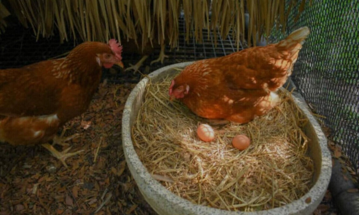 Monroe Apartment | Bright Studio Retreat w/Deck & Nature Views