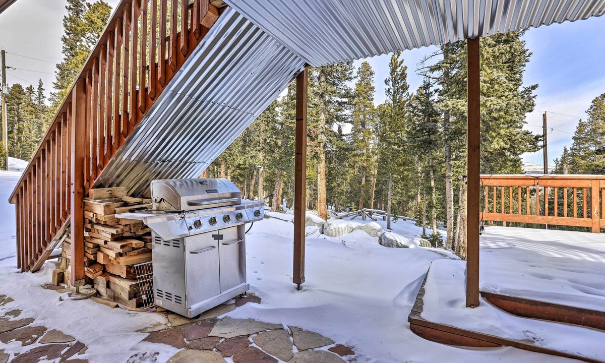 Valley of the Sun Cottage | 'bristle Cone' Fairplay Cabin w/Hot Tub