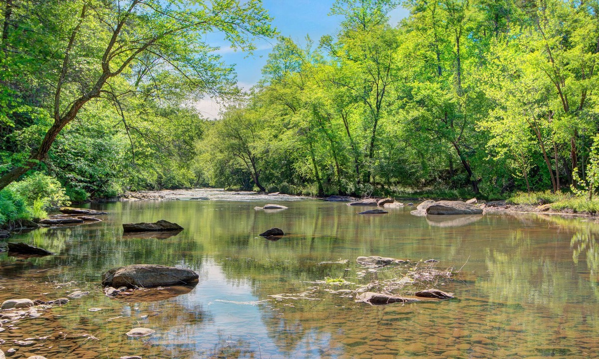Lake Lure Cabin | Broad River Roost - Dog Friendly Cabin With Riverfront Fire Pit
