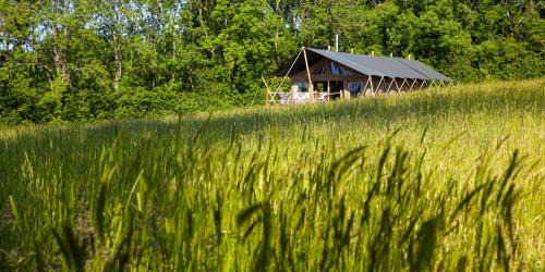 West Meon Other | Brocklands Farm Glamping