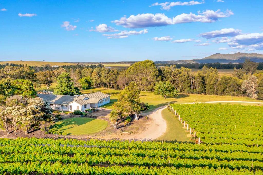 Broke House | Broke in the Vines