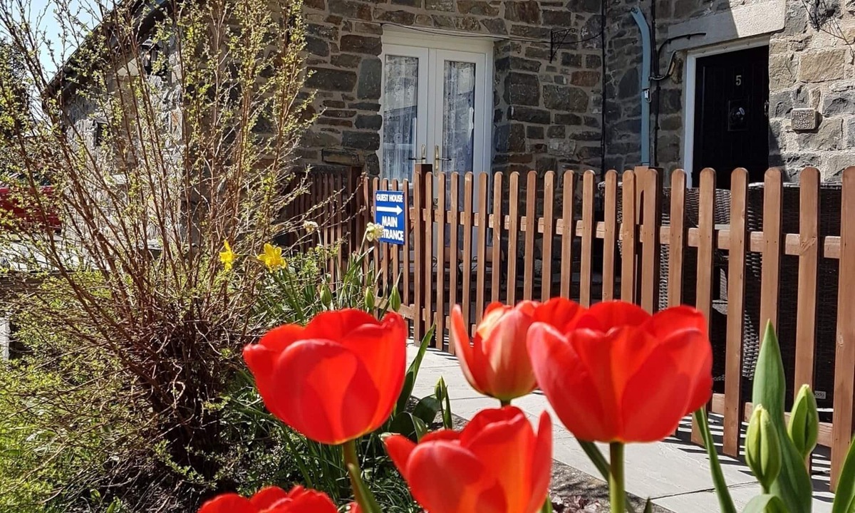 Builth Wells House | Bronwye Guest House