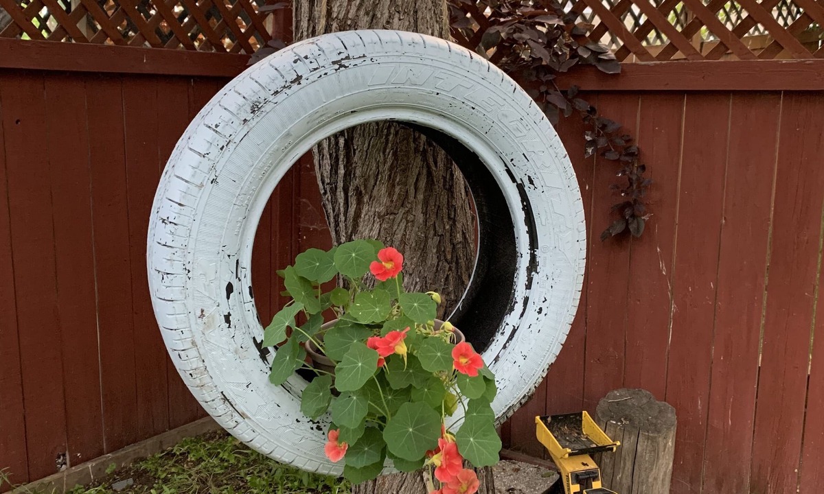 Hawkwood House | Brother Li Homestay