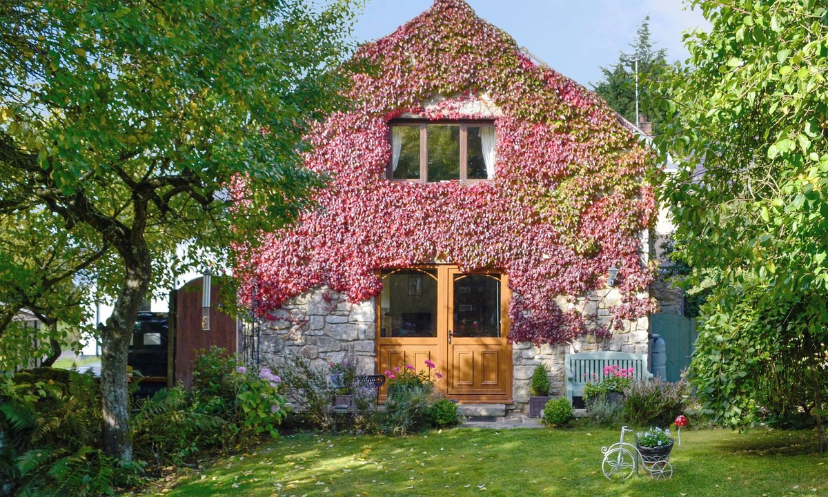 Mold Cottage | Bryn Dedwydd Cottage