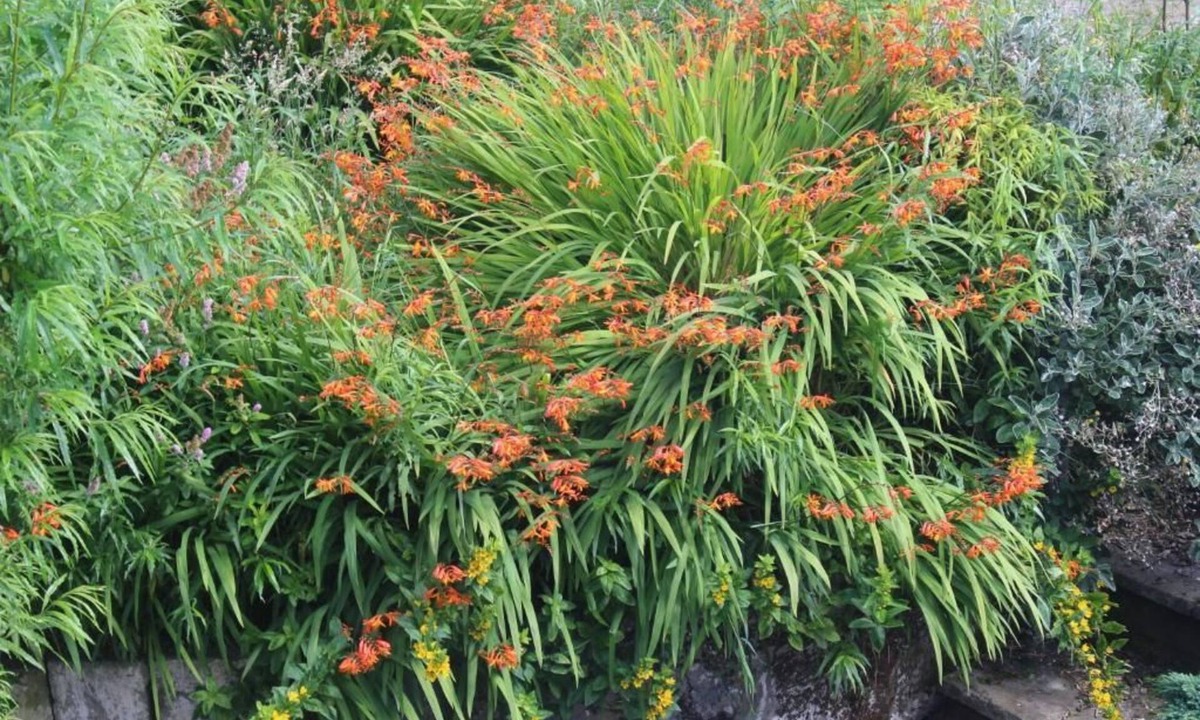 Cross Hands Bed & Breakfast | Bryncoch