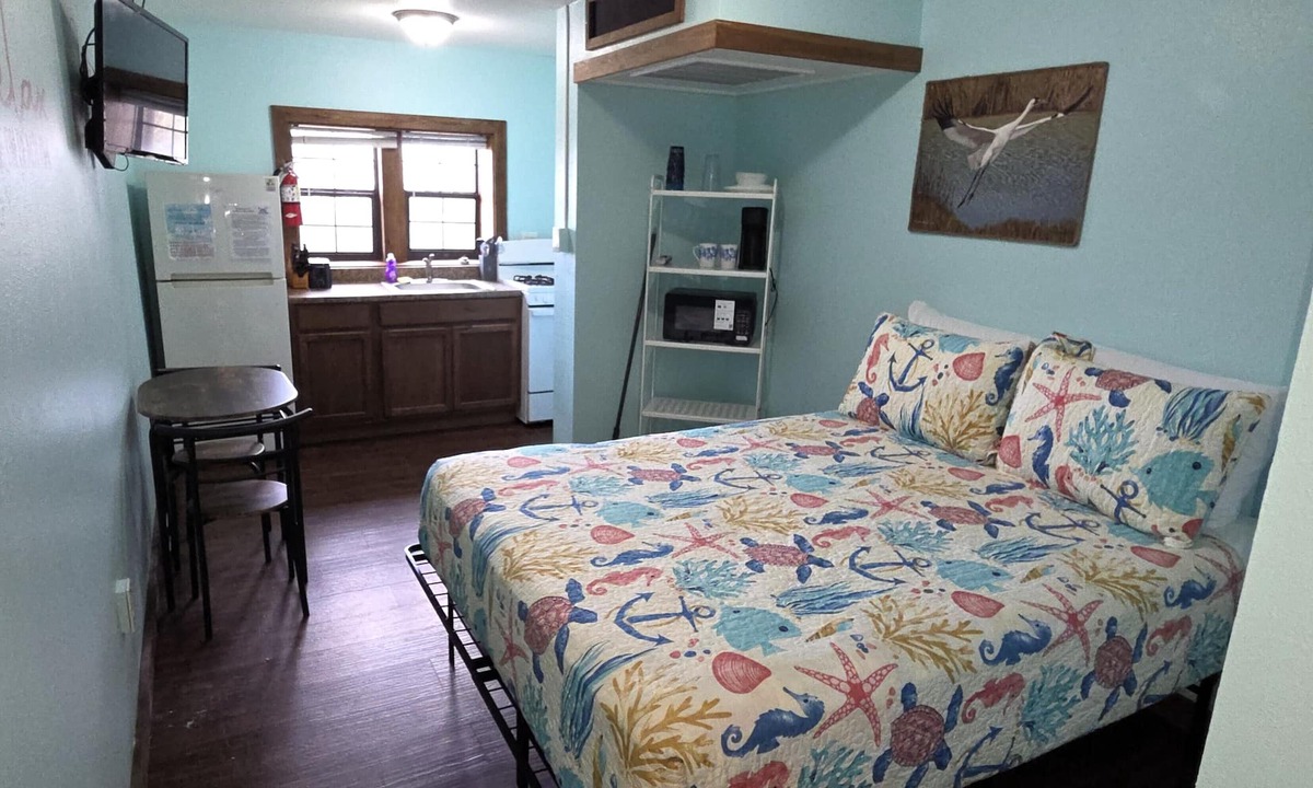 Shibui Sands Apartment | BSI111- Cozy Studio Sleeps 2, Pool, Walk to the Beach, Ocean Views, Dogs OK!