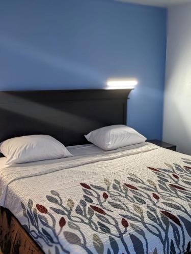 Alexandria Hotel | Budget Inn Alexandria