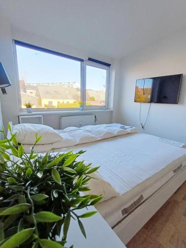 Norresundby Apartment | Budget Studio 4 with Free Parking