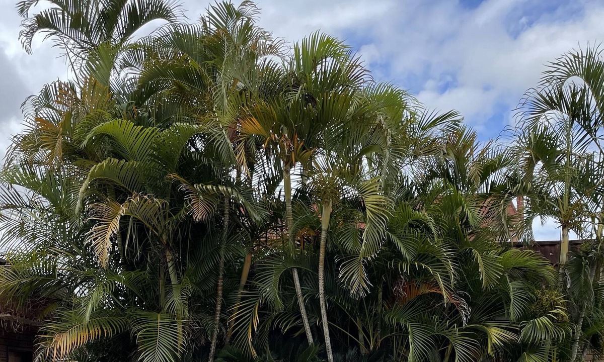 Bulahdelah Hotel | Bulahdelah Motor Lodge