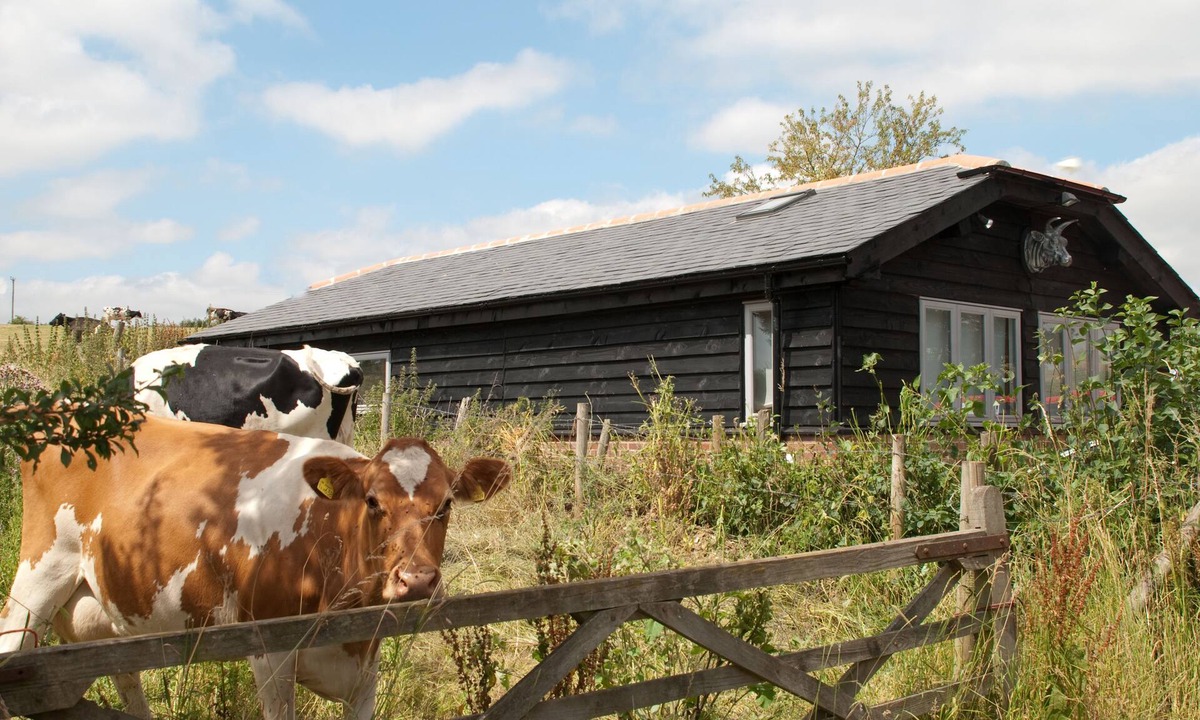 Winchester Apartment | Bull Farm Studios