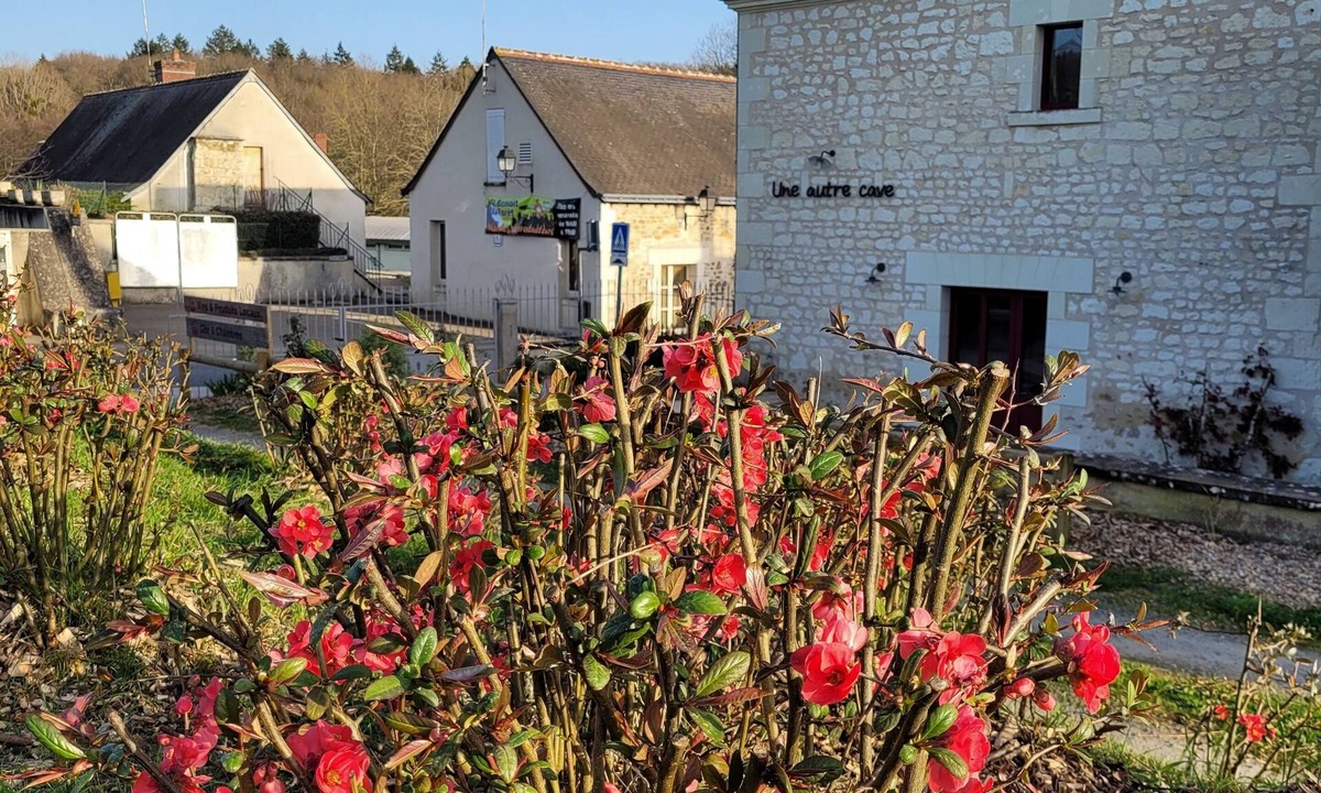Saint-Benoit-la-Foret House | Bulle de campagne