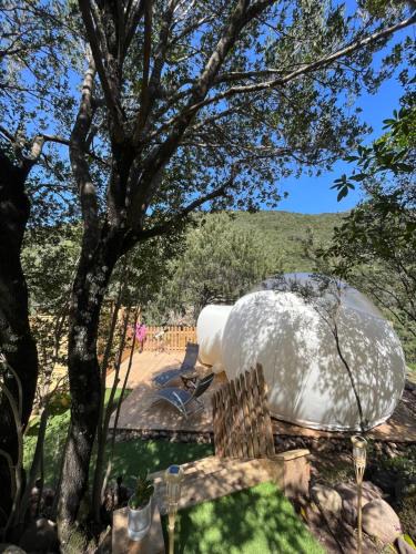 Galeria Other | Bulle du Fangu