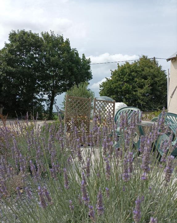 Loscouet-sur-Meu Other | Bulle insolite Brocéliande