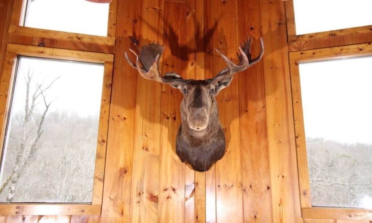Flat Hollow Marina House | Bullwinkle Inn' private dock, hot tub, quiet water
