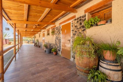 Alos de Balaguer Resort | Bungalow Alós