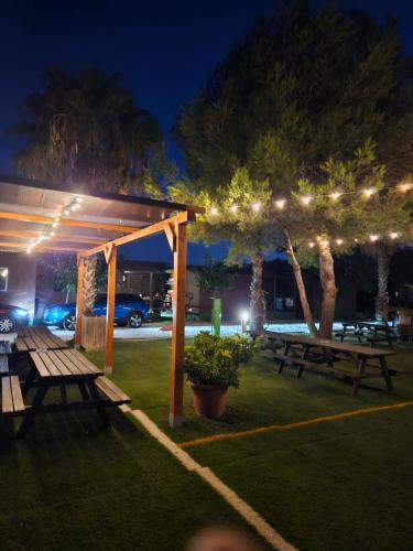 El Saler Other | Bungalows Park Albufera