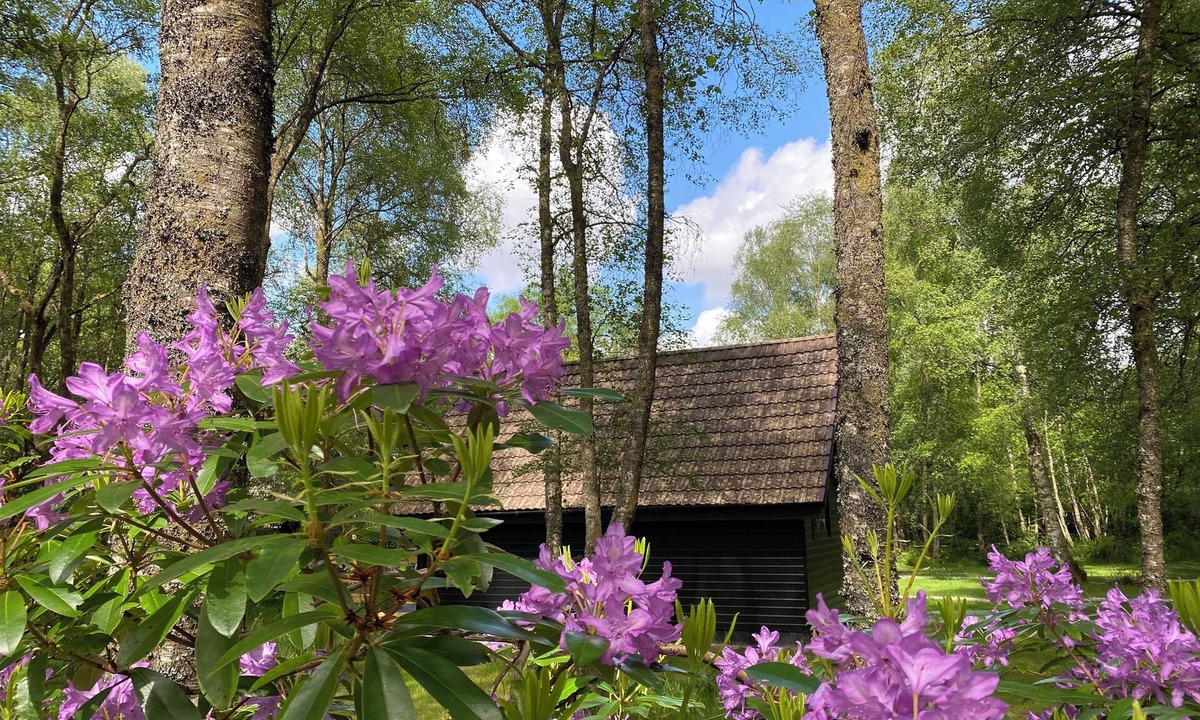 Spean Bridge Cabin | Burnbank Lodges