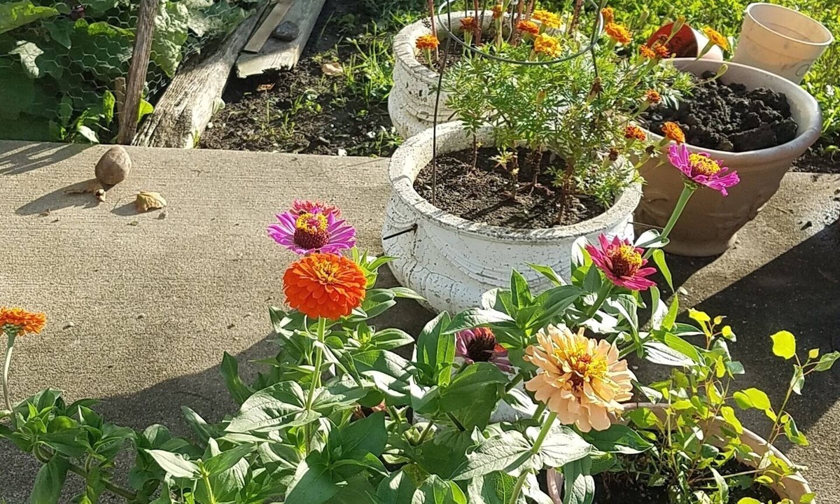 Algona Hotel | Burr Oak Motel