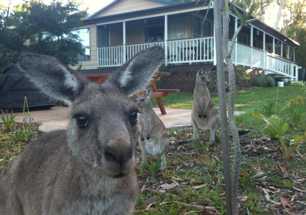 Erowal Bay House | Bush & Bay Cottage