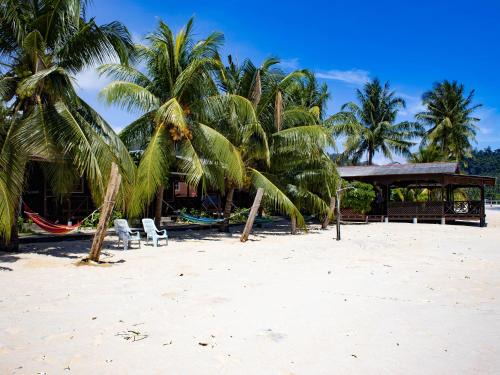 Tioman Island Hotel | BUSHMAN TIOMAN