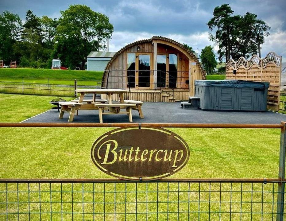 St Harmon House | Buttercup